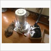 今日は寒かったですねぇ～…