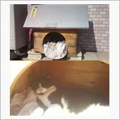 ハチ小屋