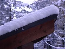 降雪状況