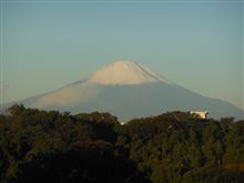 冠雪
