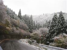笑っちゃうけど、笑えない現実。
