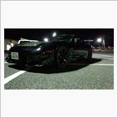 いったい何をしているのか。。。