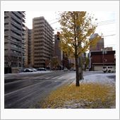 秋から冬へ 2013.11. ...