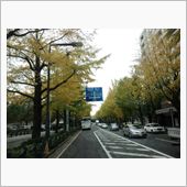 山下公園の特設会場の資材搬入…