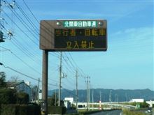 いるんだ！(^_^;)