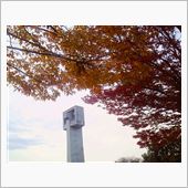 今日のお昼と紅葉は？