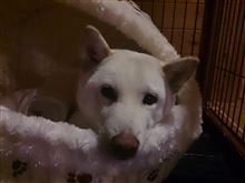 ホントにねぇ～…(^-^;)…。