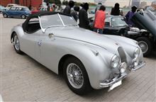 旧車　JAGUAR XK120 Roadster in 横浜赤レンガ倉庫