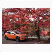 SUBARU XV♪