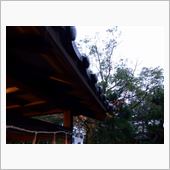 雨が冷たい