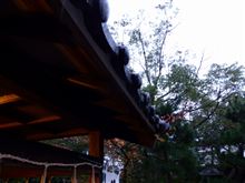 雨が冷たい 雨が冷たい