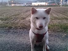宴会だぞ～(^o^)…。