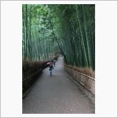 京都探訪14　天龍寺その2