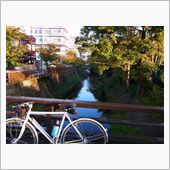 今日の朝ポタ（めがね橋）