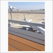 お楽しみの修学旅行！