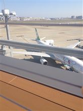 お楽しみの修学旅行！