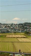 本日の富士山
