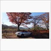 高遠城址公園