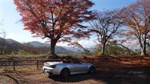 高遠城址公園