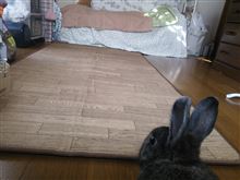 プレイルーム