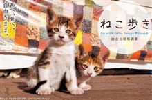 猫は良い！
