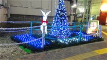 昨夜の事ですが・・・