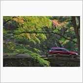 蓬莱山の紅葉