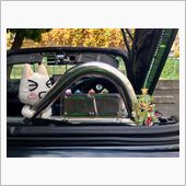 今年もこんな季節になりました