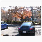 見頃を過ぎた紅葉狩り