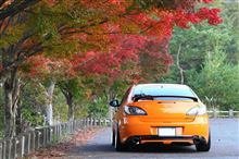 紅葉の季節