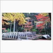 紅葉求めてツーリング