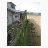 剪定＆焼却作業の間の、キャリ ...