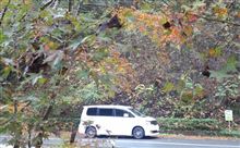 【11月17日】たまには自然を楽しむ。