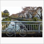 今日の午後走り
