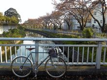 今日の午後走り
