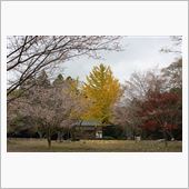 紅葉を見に箸蔵寺へ♪
