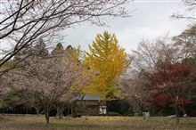 紅葉を見に箸蔵寺へ♪