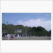 試合、地区杯 2013/11