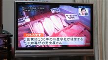 ノブナガとひもの食堂の巻。