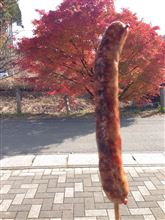 秋深し隣は何をする人ぞ