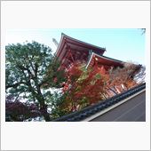 2013.　成田山公園紅葉