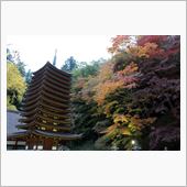 奈良 談山神社の紅葉ライトア ...
