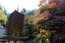 奈良 談山神社の紅葉ライトアップ♪