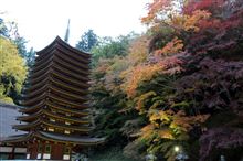 奈良 談山神社の紅葉ライトアップ♪