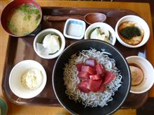 三浦みかんと三崎で波止釣り