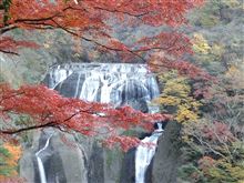 袋田の滝に紅葉見にいこうよう（￣▽￣）