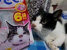 嵐の前の静寂