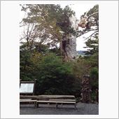 もののけ姫の森へ