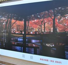半世紀ぶりの　「遠足」