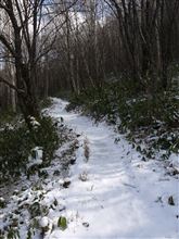 雪を踏みに